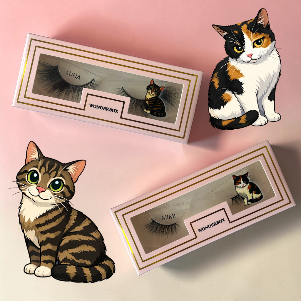 The Full bundle
